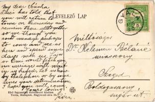 1910 Gyála, Dala; utca rész, Községháza. Első Fogyasztási Szövetkezet kiadása / street view, town ha...