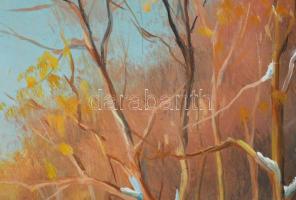 Ferenczi Béla (-): Tél. Olaj, farost, jelzett, dekoratív fakeretben, 18×24 cm