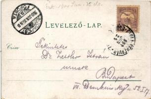 1900 Máriaradna, Mária-Radna, Radna (Lippa, Lipova); kegytemplom. Gregor Fischer kiadása / pilgrimag...