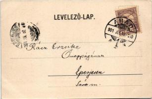 1901 Máriaradna, Mária-Radna, Radna (Lippa, Lipova); kegytemplom. Konstantin Sándor kiadása / pilgri...