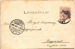 1899 Huszt, Chust, Khust; várrom. Kaufmann Ábrahám kiadása / castle ruins (EM)