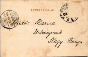 1904 Tatármező (Máramaros, Priszlop alatt), medve és medvebocsok. Berger Miksa kiadása / bear and be...