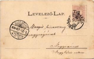 1899 Máramarossziget, Sighetu Marmatiei; Erdőőri lak Máramarosban. Mayer és Berger kiadása / forestr...