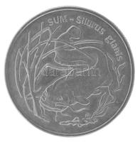 Lengyelország 1995. 2Zl Cu-Ni "Harcsa" T:UNC
Poland 1995. 2 Zlotych Cu-Ni "Catfish&q...