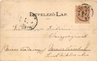 1899 Máramarossziget, Sighetu Marmatiei; Máramarossziget-Kőrösmezői útvonal. Mayer és Berger kiadása...