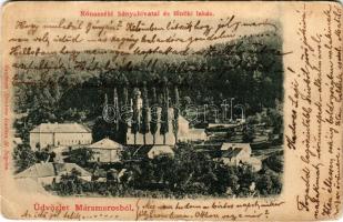 Rónaszék, Costiui (Máramaros); Bányahivatal és főnöki lakás. Kaufman Ábrahám kiadása / mine office and director's house (b)