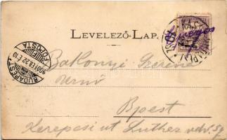 1900 Eperjes, Presov; Fő utca, Sváby Ferenc üzlete, háttérben a nagysárosi vár. Fénynyomat Divald mű...