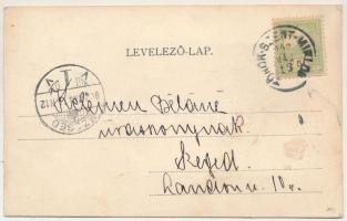 1902 Törökszentmiklós, könyvnyomda, Kardos Lajos üzlete, egyedi, kézzel készült, ragasztott képeslap...