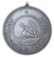 1910. "Törökszentmiklós városa / 25 éves önkéntes tűzoltói működés emlékéül - 85-910" jelz...