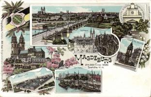 Magdeburg with Gruson works litho