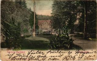1901 Marilla, Marillavölgy, Marila; gyógyintézet. Gross Gyula kiadása / spa (szakadás / tear)
