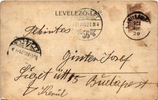 1901 Marilla, Marillavölgy, Marila; gyógyintézet. Gross Gyula kiadása / spa (szakadás / tear)