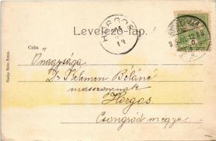 1905 Nyíregyháza, Vármegyeház. Klein Ármin kiadása (EB)