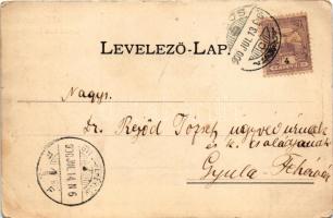 1900 Lugos, Lugoj; M. kir. állami főgimnázium. Auspitz Adolf kiadása / grammar school (EB)
