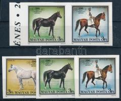 1989 200 éves a bábolnai ménes vágott sor + 2 bélyeg párban, ívszéli felirattal (egy bélyegen saroktörés, egy bélyegen ujjlenyomat / corner fold, fingerprint)