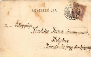 1900 Lugos, Lugoj; látkép. Auspitz Adolf kiadása / general view (ázott / wet damage)