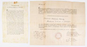 1805 Pest, a Pesti Királyi Tudományegyetem orvostudományi kara által kiállított doktori diploma Haliczky Antal (?-1837) orvos részére, rajta Lenhossék Mihály Ignác (1773-1840), Csurgovich Sándor és Rupp Nepomuk János (1808-1881) aláírásával, papírfelzetes viaszpecséttel, 38,5x47 cm. Hozzá 2 db latin nyelvű nyomtatvány (orvosi esküszövegek), valamint az egyetem viaszpecsétjével ellátott, eredeti boríték.