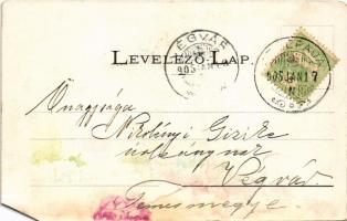 1905 Lugos, Lugoj; M. kir. pénzügyigazgatóság. Nemes Kálmán kiadása / financial directorate (b)