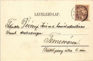 1901 Lugos, Lugoj; M. kir. főgimnázium és színház. Weisz és Sziklai kiadása / grammar school, theatr...