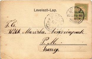 1902 Lugos, Lugoj; M. kir. főgimnázium és színház, híd. Weisz és Sziklai kiadása / grammar school, t...