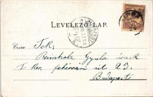 1900 Lippa, Lipova; látkép. Gregor Fischer kiadása / general view (EK)