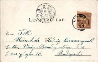 1900 Lippa, Lipova; látkép, Szálloda a Magyar Királyhoz. Gregor Fischer kiadása / general view, hote...