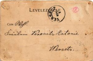 1901 Lippa, Lipova; látkép. Hans Nachbargauer kiadása / general view (fa)