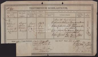 1838 Pécs, a Pécsi Püspöki Líceum által kiállított bizonyítvány, rajta Aigl Pál (1775-1839) pécsi kanonok, aligazgató, Radenics Ferenc, Jónás József (1797-1870) és mások aláírásával, papírfelzetes pecséttel. Kisebb sérülésekkel, egyik sarkán hiánnyal, 22x38 cm