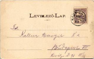 1900 Nagyenyed, Aiud; részletek este holdfényben, sétatéri diák emlékmű. Grünfeld Dávid kiadása, sze...