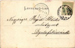 1904 Nagyenyed, Aiud; Bethlen főiskola. Winkler János kiadása / Calvinist boarding school (r)