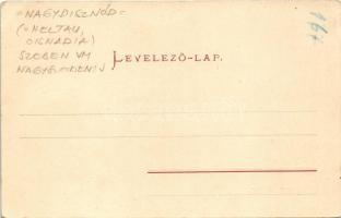 1905 Nagydisznód, Heltau, Cisnadie; látkép / general view. Verl. d. Buchh. G. A. Seraphin. Chromopho...