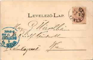 1899 Nagybánya, Baia Mare; Fő tér, északi oldal, üzletek. Divald / main square, shops (EK)