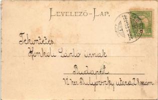 1898 Nagybánya, Baia Mare; Szent István torony. Kovács Gyula kiadása / tower (r)