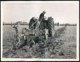 cca 1965 Hugh Barr ír származású férfi, az Észak-Írországban rendezett traktorverseny részvevője, hátoldalon feliratozott sajtófotó, 16,5×21,5 cm