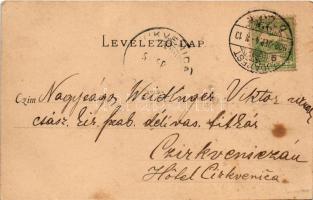 1902 Hunyadi János. Magyar művelődés történet. Divald Károly kiadása, Ernszt Lajos gyűjteményéből s:...