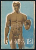 cca 1940 Az emberi test, Bayer gyógyszergyár képes ismertető prospektus, viseltes állapotban, 16x11 cm