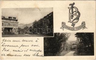 1909 Seravezza, villa (EK)