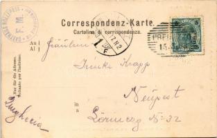 1903 San Martino di Castrozza (Südtirol), Passo di Rolle con Cimone della Pala (fl)