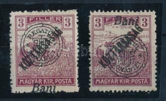 Nagyvárad 1919 Köztársaság/Arató 2 db 3f eltolódott felülnyomással, Bodor vizsgálójellel