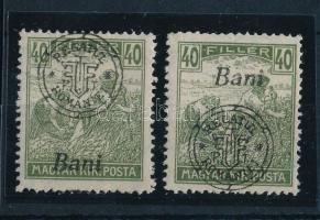 Nagyvárad 1919 Arató 2 db 40f eltolódott felülnyomással, Bodor vizsgálójellel