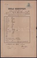 1880 Pilisi Ney Ferenc (1814-1889.) hírlapíró, színműíró, a pesti belvárosi reáliskola igazgatója autográf aláírása bizonyítványon