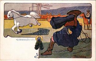 Hortobágy, a Hortobágyról. Magyar művészlap s: Pálinkás (szakadások / tears)