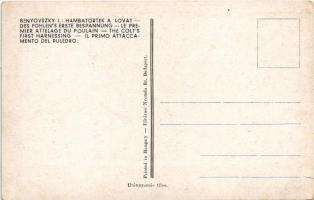 Hámbatörték a lovat. Magyar folklór művészlap / Hungarian folklore art postcard s: Benyovszky István...