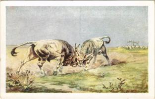 Párbaj a pusztán. Magyar folklór művészlap / Hungarian folklore art postcard s: Benyovszky István (E...