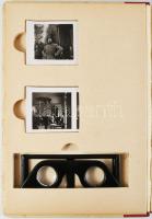 Bartz, Karl: Großdeutschlands Wiedergeburt. Weltgeschichtliche Stunden an der Donau. Geleitwort Herm...