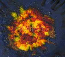 Városlőd iparművész falitál, jelzett, hibátlan, d: 31 cm