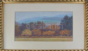 Mátrai Vilmos (1877-1961): Őszi táj, 1949. Akvarell, papír, jelzett. Dekoratív, üvegezett fakeretben...