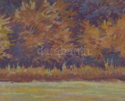 Mátrai Vilmos (1877-1961): Őszi táj, 1949. Akvarell, papír, jelzett. Dekoratív, üvegezett fakeretben...