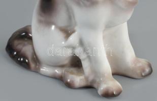 Hollóházi kutya Kézzel festett, jelzett, hibátlan m: 15 cm