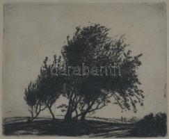 Barcsay Jenő (1900-1988): Fák. Rézkarc, papír, jelzett. Üvegezett fakeretben. Lapszéli ázásnyomokkal. 12,5x15 cm